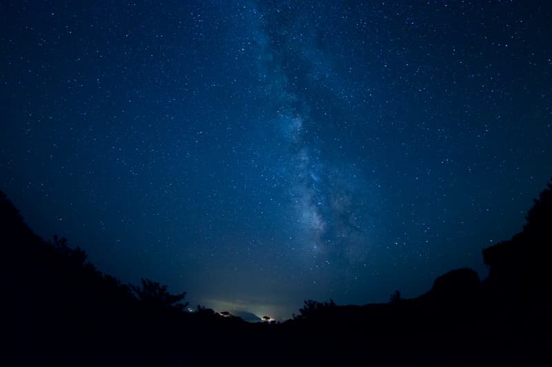 Island Filled With Camellia Flowers And Infinite Stars In The Sky, toshima, tokyo islands, izu islands, perfect guide, travel, japan, tokyo, stargazing, minamigayama park
