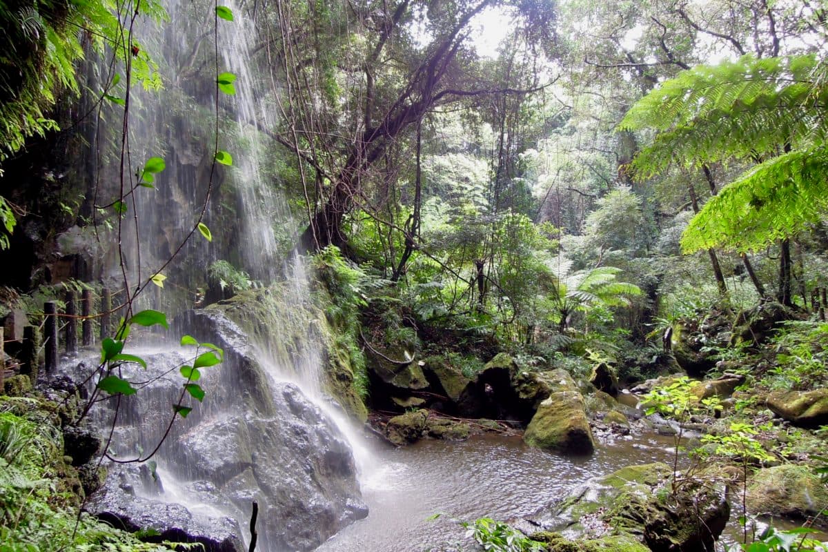 Urami-ga-taki Fall