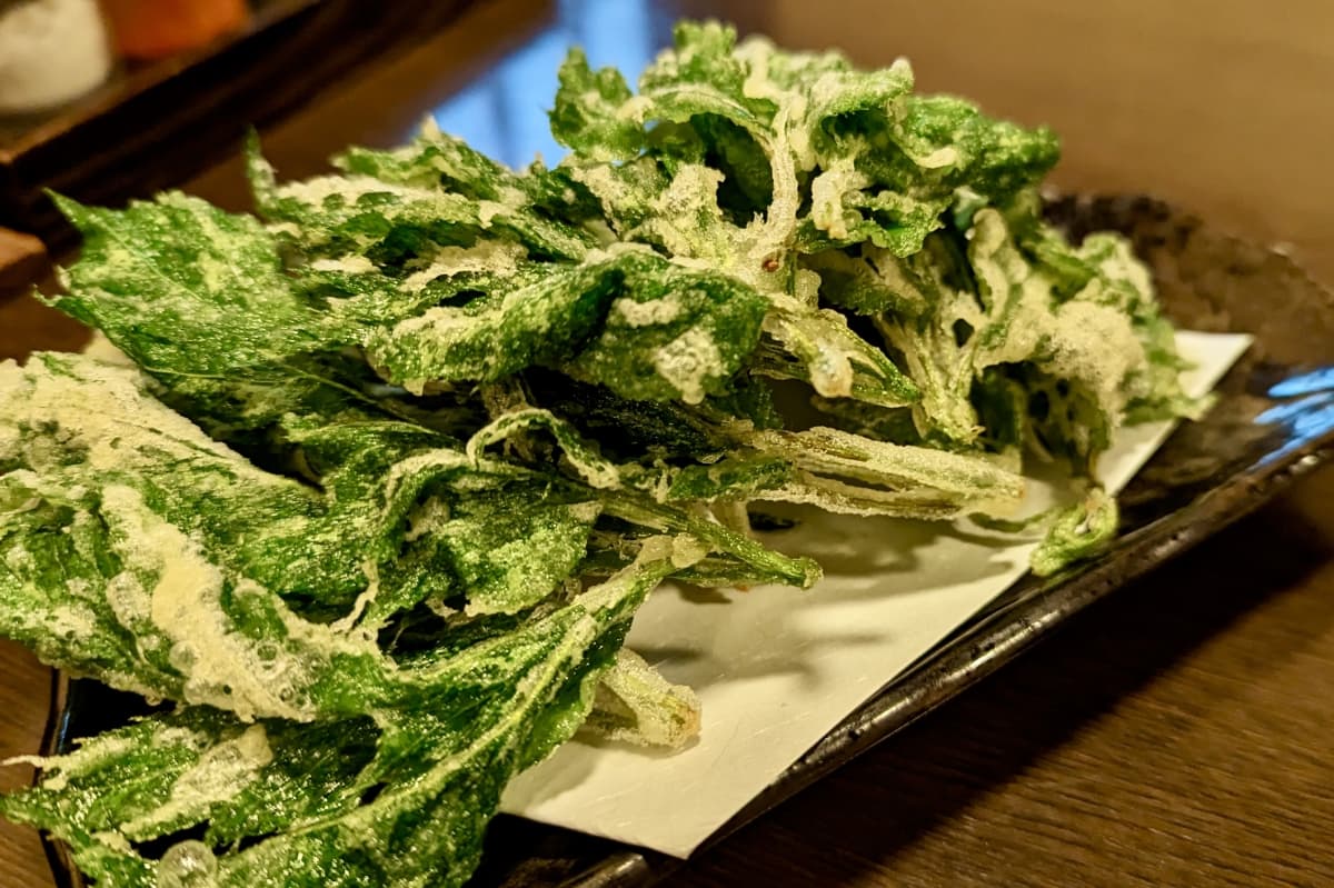 Ashitaba leaf