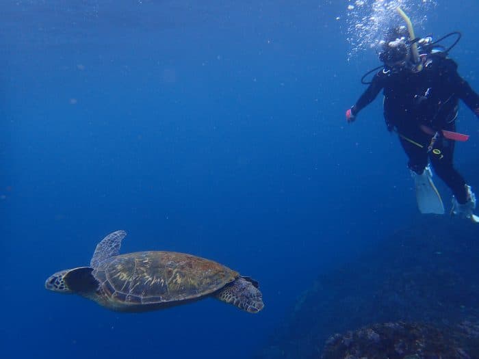Scuba Diving
