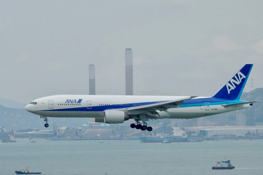 Fast and Straightforward: Fly via Hachijojima