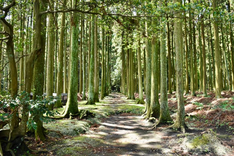 Hajikama Shrine